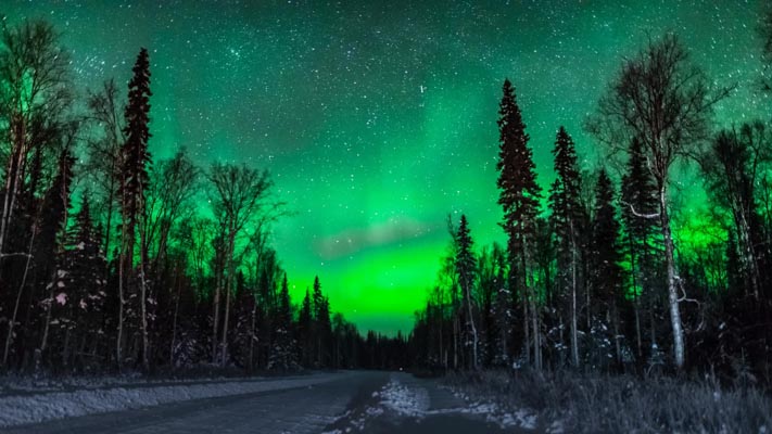 Alaska - Talkeetna - Roadside Aurora - 30 Below Zero