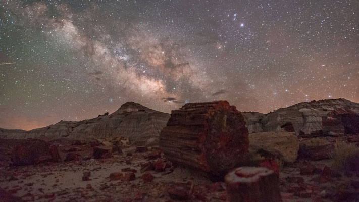 Arizona - Petrified Forest NP - Jasper Forest