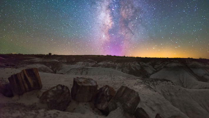 Arizona - Petrified Forest NP - Crystal Forest