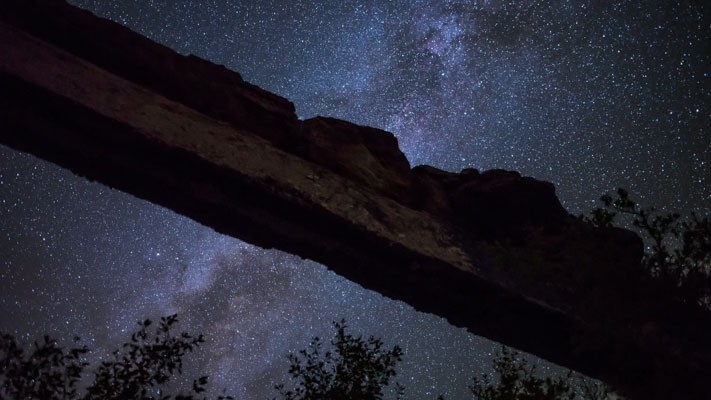 Arizona - Petrified Forest NP - Agate Bridge