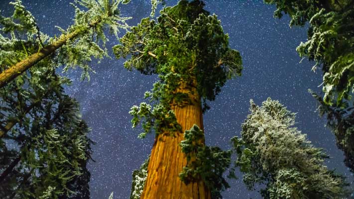 California - Kings Canyon