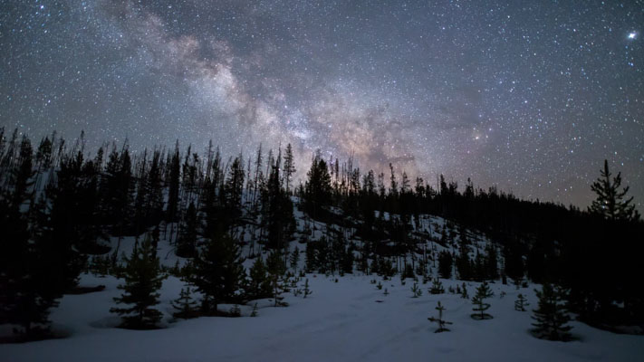 Idaho - Stanley - Forest View