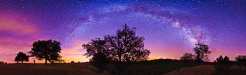 California - Oak Trees at Red Hill - HWY 58 - Los Padres National Forest - 280