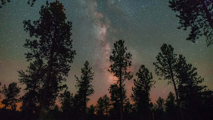 Oregon - Bend - Pines